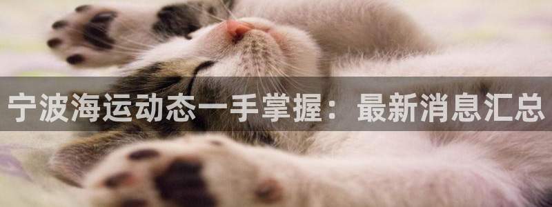 公海赌赌船贵宾会员检测路线
