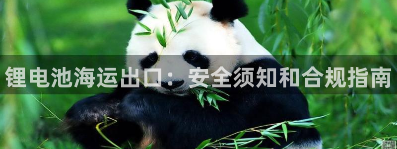 公海赌博怎么处理