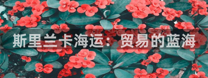 公海赌博犯法吗
