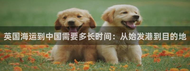 公海赌赌船贵宾会员检测路线