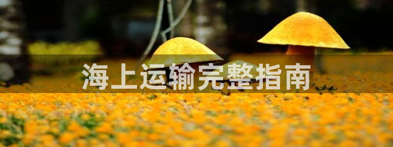 公海欢迎来到赌船710