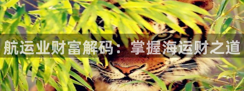 欢迎来到g港