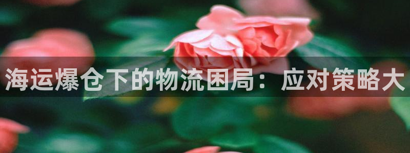 公海赌赌船官网