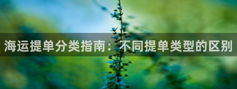公海赌赌船贵宾会员检测路线