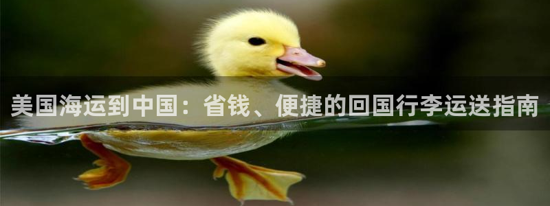 去公海赌博