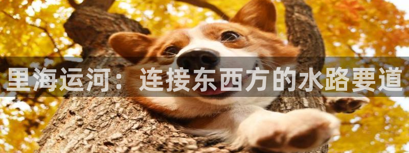 欢迎你来到公主的海岛