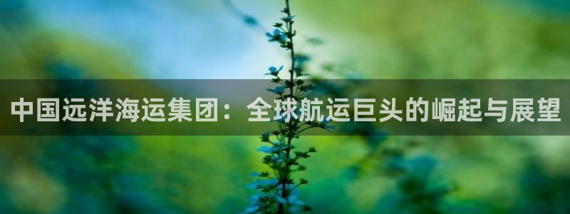 欢迎来到公赌船