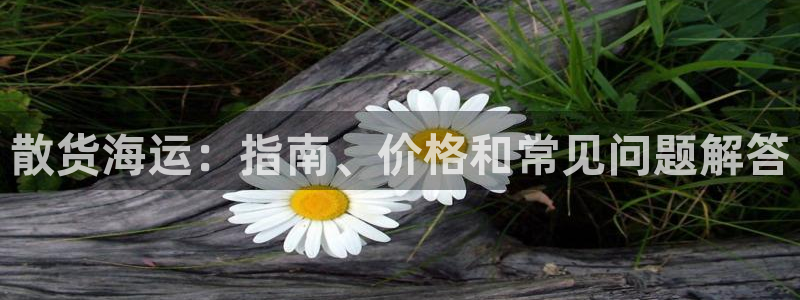 去公海赌博合法吗