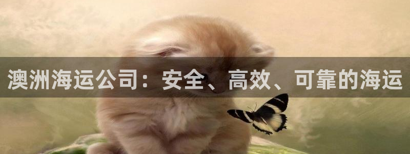 公海赌船官方