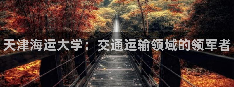 公海赌赌船手机下载
