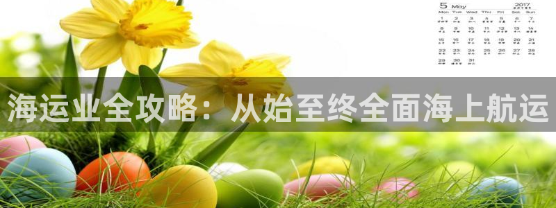欢迎你来到 公主的海岛