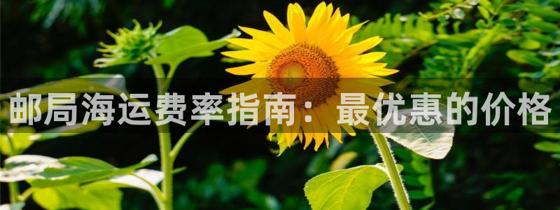 欢迎到我的船上来的英文