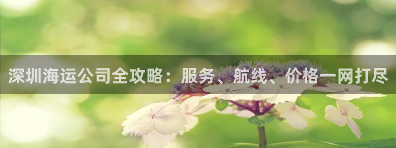 公海赌赌船手机下载
