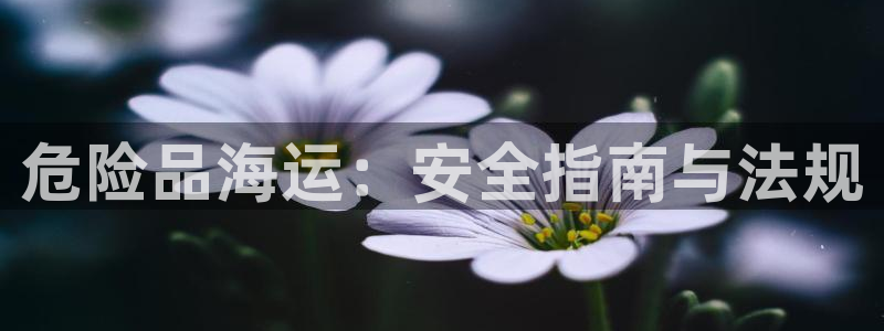 欢迎来到海边