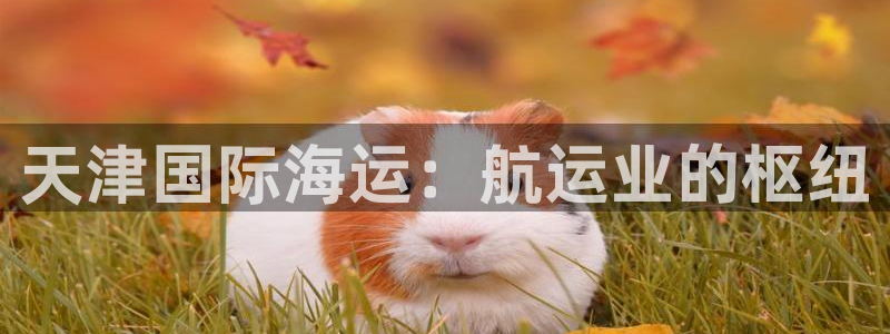 公海赌船网址710