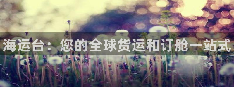 公海船赌网站是多少
