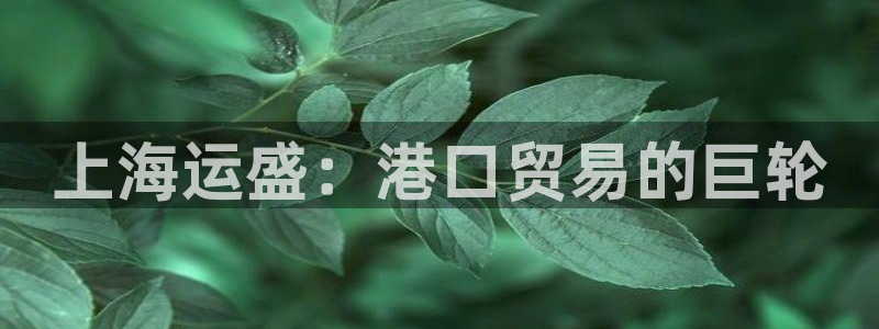公海赌船怎么样