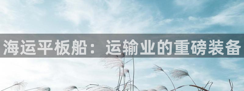 公海赌钱