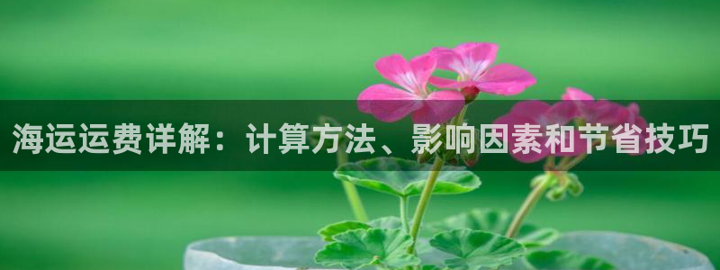 欢迎登船