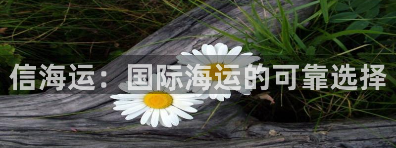 在公海赌博不违法吗