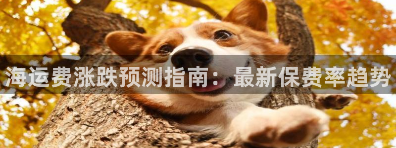 欢迎您来到公海客服