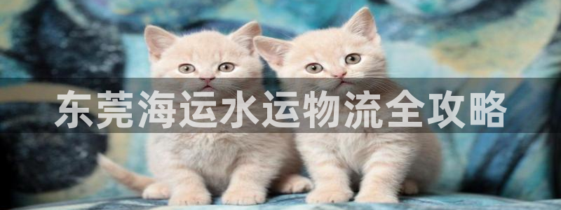 公海赌钱违法吗
