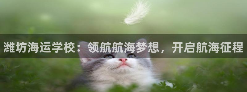 欢迎来到公海710官网