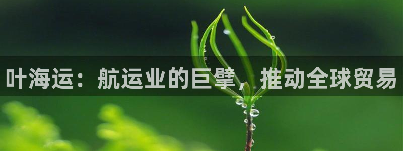公海赌赌船官网可以做代理吗