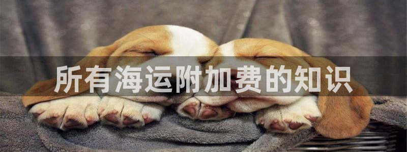 欢迎来到公海欢迎来到
