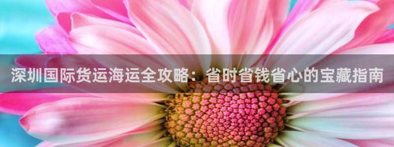 公海赌赌船官网jc7