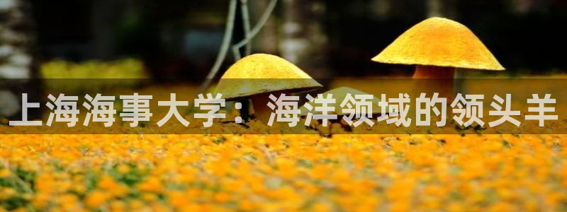 欢迎来到公海710线路是多少