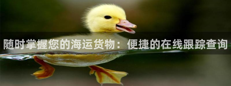 欢迎来到公海