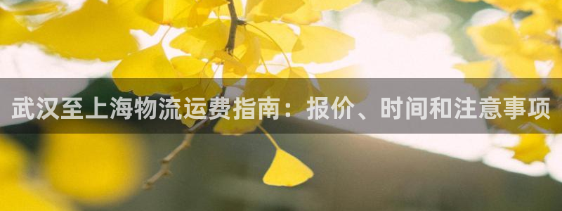 公海赌钱犯法吗