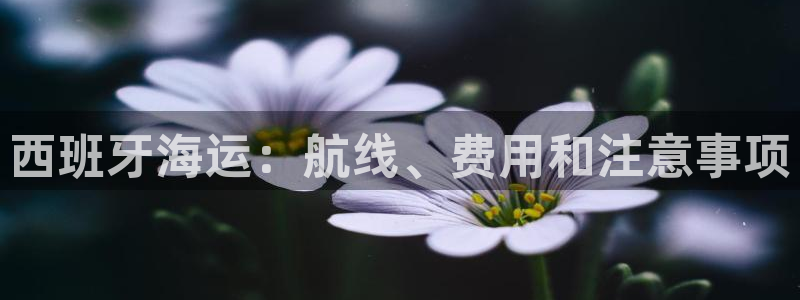 公海赌赌船系统维护要多久