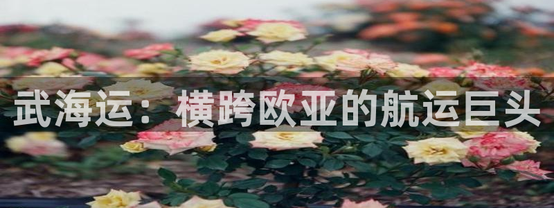 公海赌赌船官网是真的吗