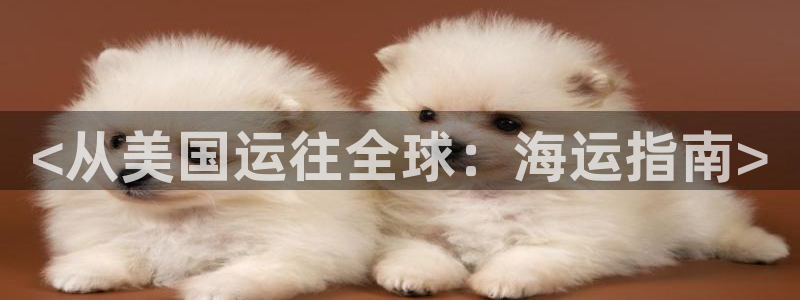 公海赌船怎么样