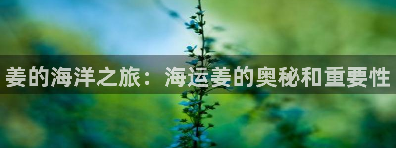 欢迎来到公海555000