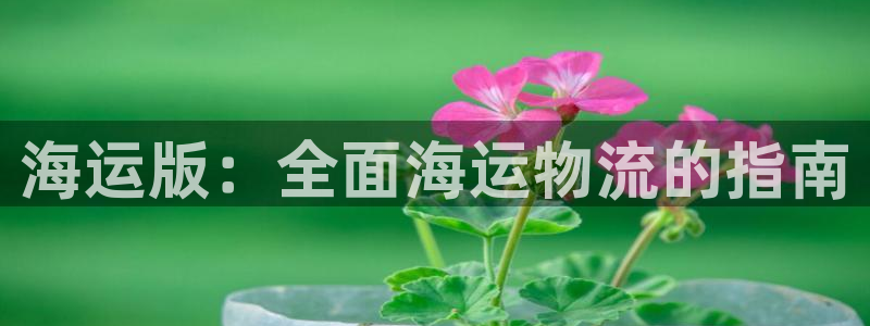 公海赌船贴吧
