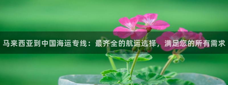 公海赌赌船贵宾会员检测路线