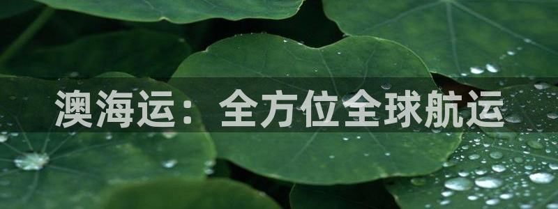 公海赌船网址710