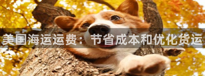 欢迎来到公海555000