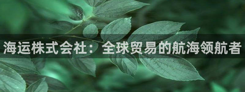 欢迎你来到 公主的海岛